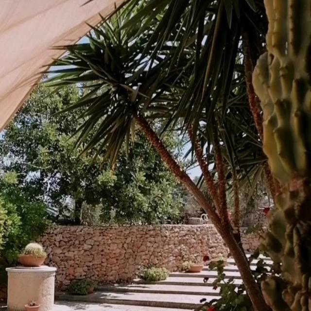Masseria Agriturismo Il Sorriso Degli Ulivi - Dimora Di Charme Gallipoli Εξωτερικό φωτογραφία