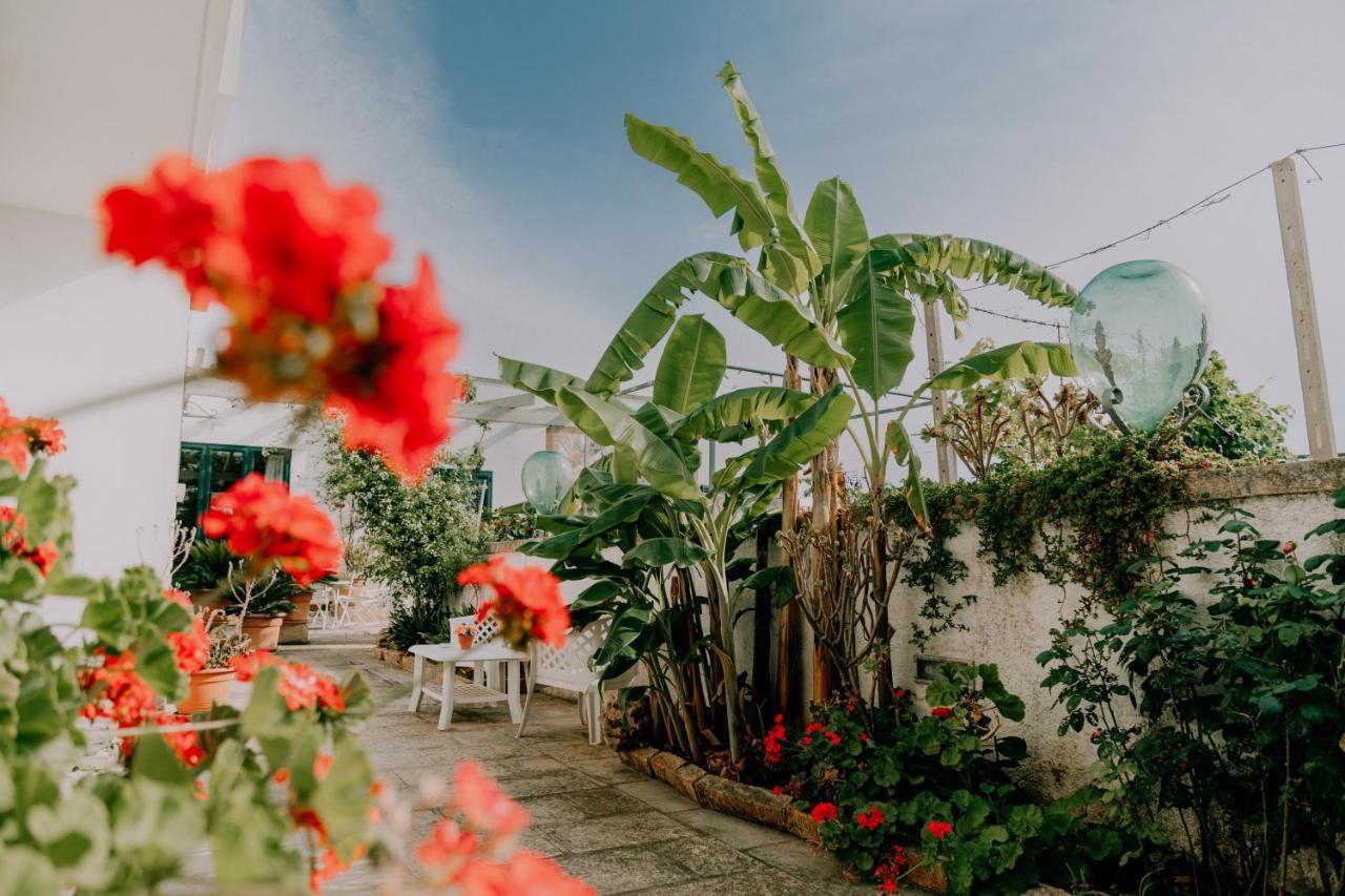 Masseria Agriturismo Il Sorriso Degli Ulivi - Dimora Di Charme Gallipoli Εξωτερικό φωτογραφία