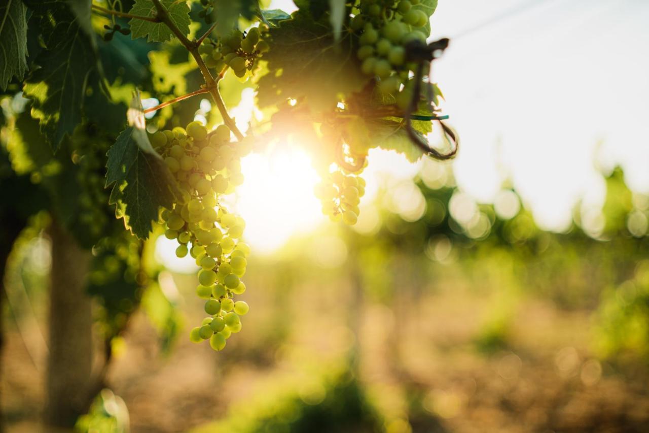 Masseria Agriturismo Il Sorriso Degli Ulivi - Dimora Di Charme Gallipoli Εξωτερικό φωτογραφία