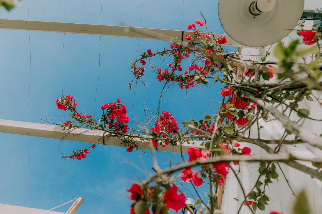 Masseria Agriturismo Il Sorriso Degli Ulivi - Dimora Di Charme Gallipoli Εξωτερικό φωτογραφία
