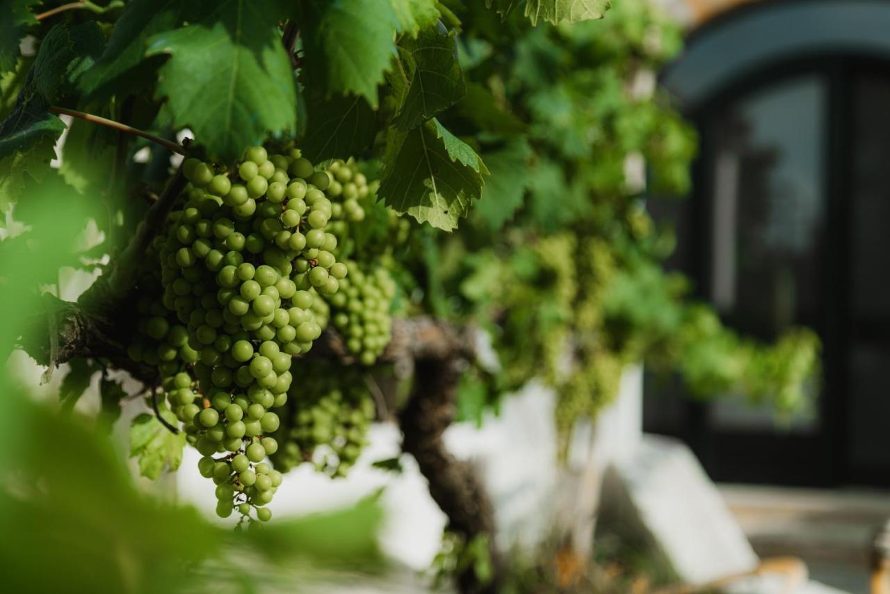 Masseria Agriturismo Il Sorriso Degli Ulivi - Dimora Di Charme Gallipoli Εξωτερικό φωτογραφία